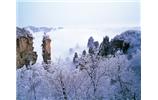 春節(jié)旅游：張家界、袁家界、天子山、寶峰湖/黃龍洞度假二晚三日游